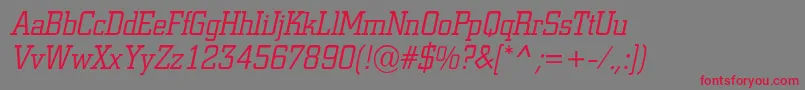 ACitynovaltItalic Font – Red Fonts on Gray Background