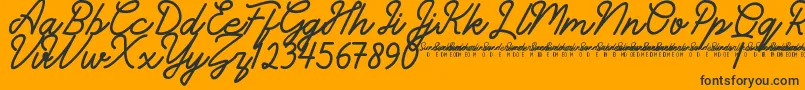 SunderlinesDemo-fontti – mustat fontit oranssilla taustalla