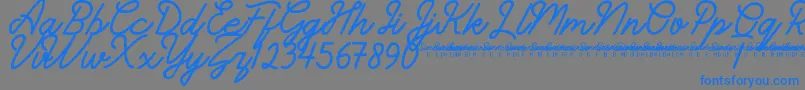 SunderlinesDemo Font – Blue Fonts on Gray Background