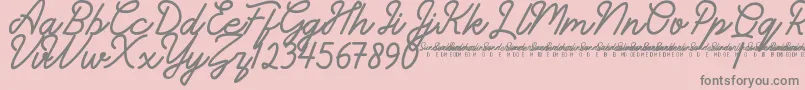 SunderlinesDemo-Schriftart – Graue Schriften auf rosa Hintergrund