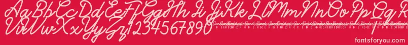 SunderlinesDemo-Schriftart – Rosa Schriften auf rotem Hintergrund