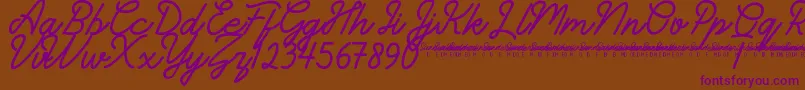 Шрифт SunderlinesDemo – фиолетовые шрифты на коричневом фоне