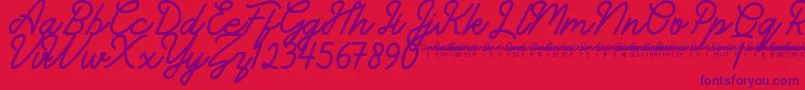 Czcionka SunderlinesDemo – fioletowe czcionki na czerwonym tle