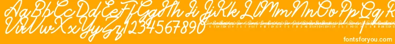 SunderlinesDemo-Schriftart – Weiße Schriften auf orangefarbenem Hintergrund