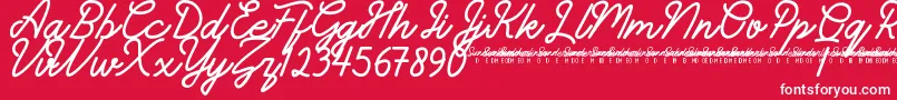 フォントSunderlinesDemo – 赤い背景に白い文字
