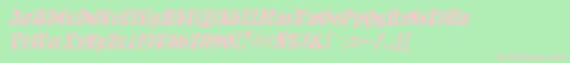 フォントParadetightItalic – 緑の背景にピンクのフォント