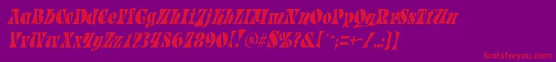 フォントParadetightItalic – 紫の背景に赤い文字