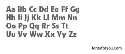 LinotypevetoBold-fontti