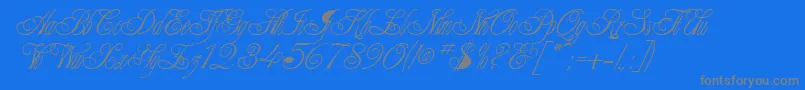 TeruskaRegular-Schriftart – Graue Schriften auf blauem Hintergrund