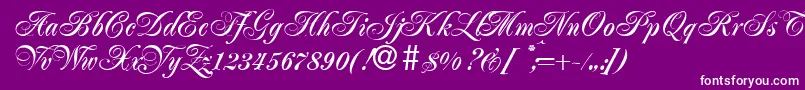 JacobadbBold Font – White Fonts on Purple Background