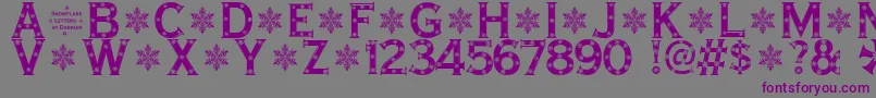 SnowflakeLetters-fontti – violetit fontit harmaalla taustalla