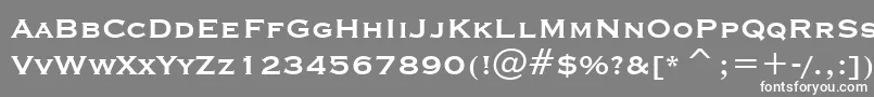 フォントCopprplgothBdBtBold – 灰色の背景に白い文字