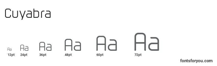 Размеры шрифта Cuyabra