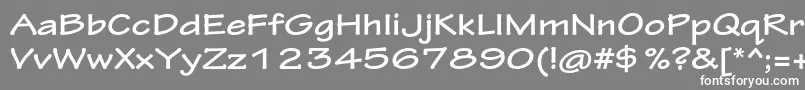 TektonproBoldext Font – White Fonts on Gray Background