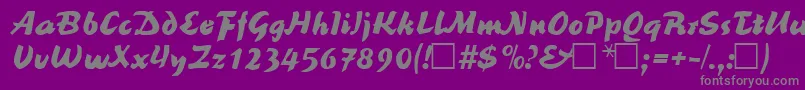ReinerblackRegular-Schriftart – Graue Schriften auf violettem Hintergrund