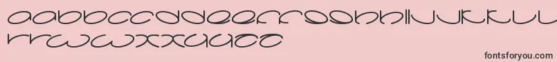 Lanitta Font – Black Fonts on Pink Background