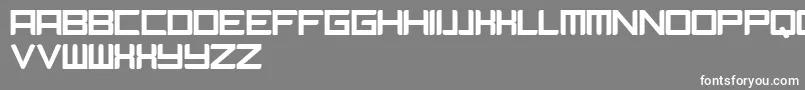 Camieis Font – White Fonts on Gray Background