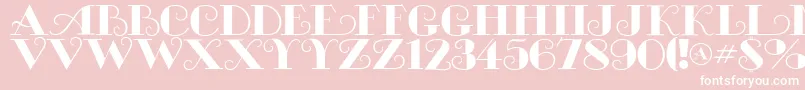 MichelleflfBold Font – White Fonts on Pink Background