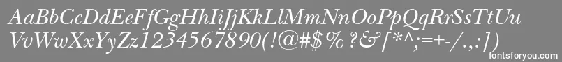 フォントNewbaskervillecItalic – 灰色の背景に白い文字