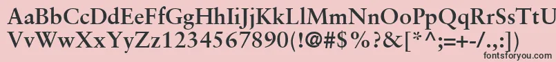 フォントSabonLtBold – ピンクの背景に黒い文字