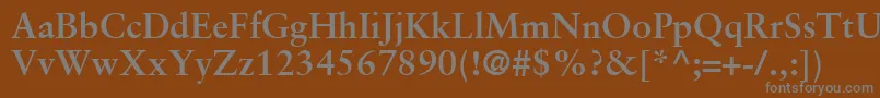 SabonLtBold-fontti – harmaat kirjasimet ruskealla taustalla