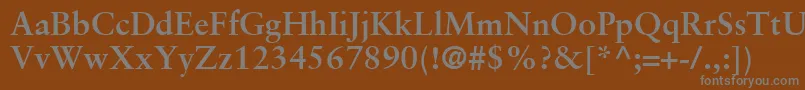 フォントSabonLtBold – 茶色の背景に灰色の文字