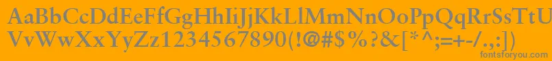 フォントSabonLtBold – オレンジの背景に灰色の文字