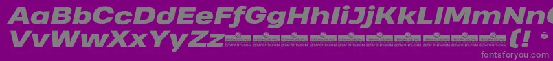 HeadingProWideHeavyItalicTrial Font – Gray Fonts on Purple Background
