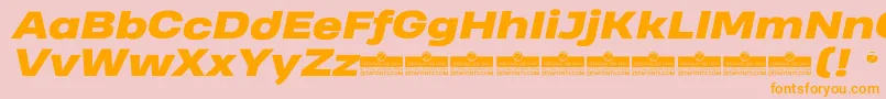 HeadingProWideHeavyItalicTrial Font – Orange Fonts on Pink Background