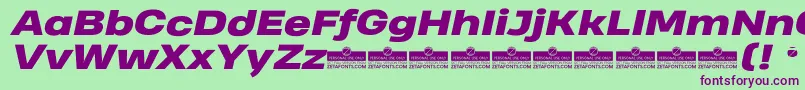 HeadingProWideHeavyItalicTrial-Schriftart – Violette Schriften auf grünem Hintergrund