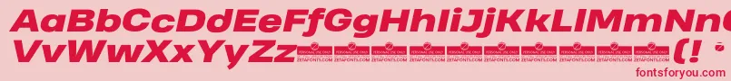 HeadingProWideHeavyItalicTrial Font – Red Fonts on Pink Background