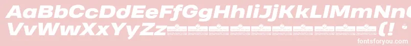 HeadingProWideHeavyItalicTrial Font – White Fonts on Pink Background