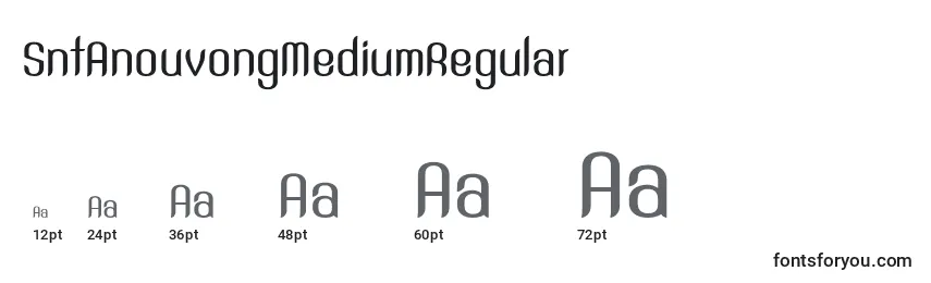 Размеры шрифта SntAnouvongMediumRegular