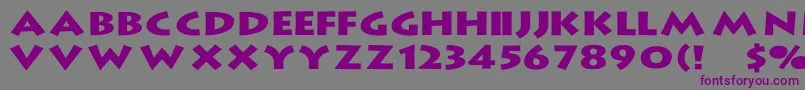 Шрифт LithographWd – фиолетовые шрифты на сером фоне