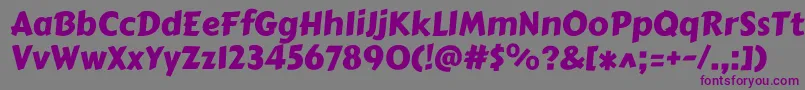 Carterone-fontti – violetit fontit harmaalla taustalla