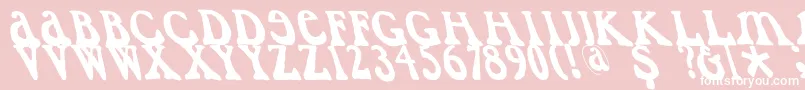 Caslondadaesqueleft Font – White Fonts on Pink Background