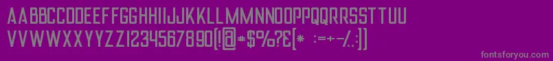 Alterregular Font – Gray Fonts on Purple Background