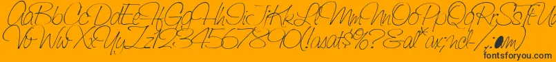 Weitere Informationen zur SaginawLight-Schriftart SaginawLight-Schriftart – Schwarze Schriften auf orangefarbenem Hintergrund