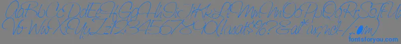 More about SaginawLight Font SaginawLight Font – Blue Fonts on Gray Background