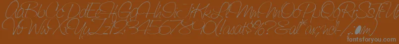 Weitere Informationen zur SaginawLight-Schriftart SaginawLight-Schriftart – Graue Schriften auf braunem Hintergrund