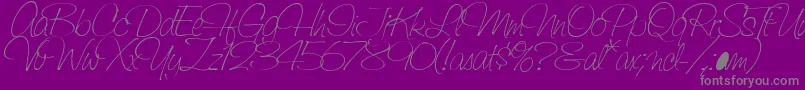 SaginawLight-Schriftart – Graue Schriften auf violettem Hintergrund