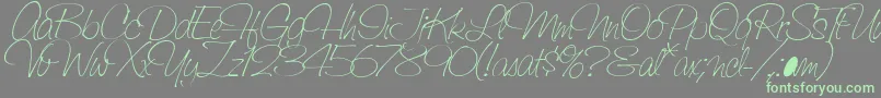 More about SaginawLight Font SaginawLight Font – Green Fonts on Gray Background
