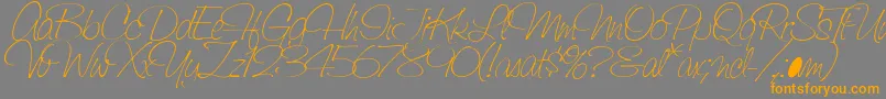 SaginawLight Font – Orange Fonts on Gray Background