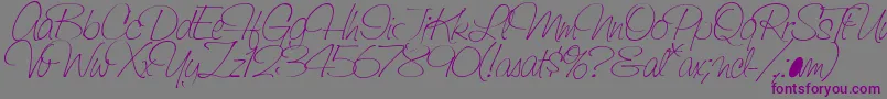 SaginawLight Font – Purple Fonts on Gray Background