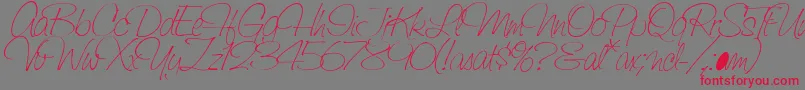 SaginawLight Font – Red Fonts on Gray Background