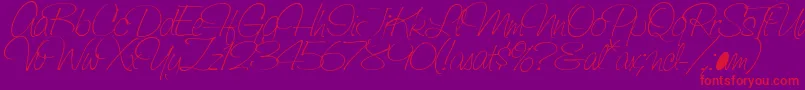 SaginawLight Font – Red Fonts on Purple Background