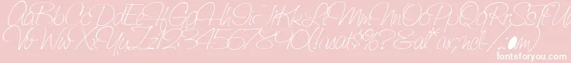 SaginawLight Font – White Fonts on Pink Background