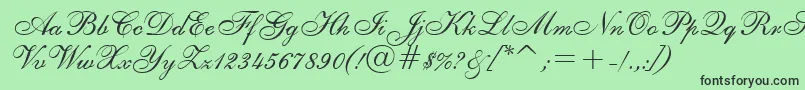 ShelleyAllegroBt Font – Black Fonts on Green Background