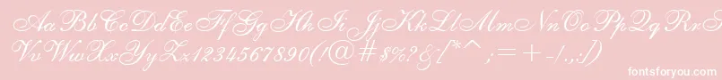 ShelleyAllegroBt-Schriftart – Weiße Schriften auf rosa Hintergrund