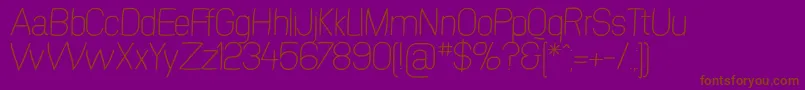 SwinginsanslExtralight Font – Brown Fonts on Purple Background